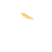 LA344 - Abikropolis 15