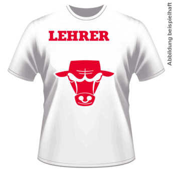 Abschlussmotiv J11 - Lehrer\\\\\\\\\\\\\\\'s Bulls