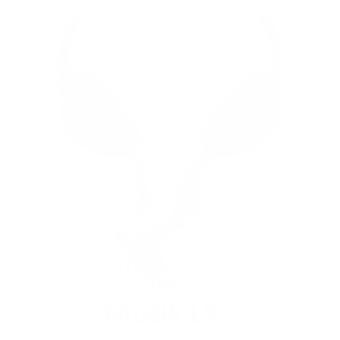 Motiv LK20 - LK Musik 1