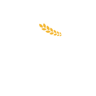 Abimotiv LA344 - Abikropolis 15