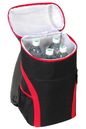 Food Market Cooler Backpack