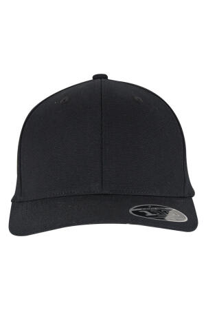 Flexfit 110 Curved Snapback