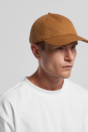 Access Canvas Cap | 1131