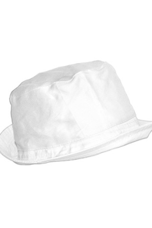 Sonnenhut