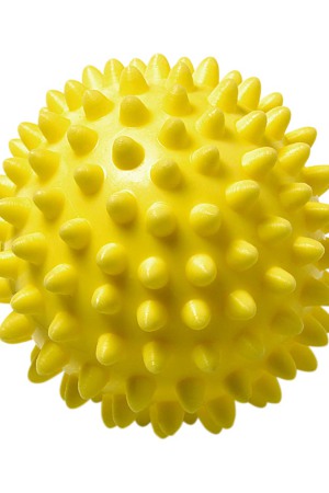 Wellness-Ball "Igel"