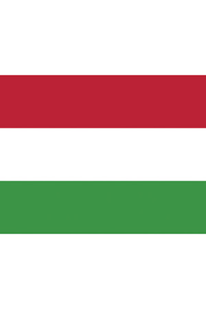 Fahne Ungarn