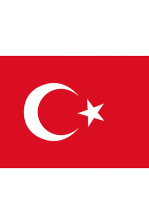 Fahne Türkei