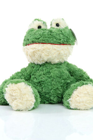 Frosch Torge