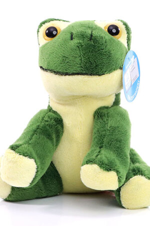 Zootier Frosch Arwin