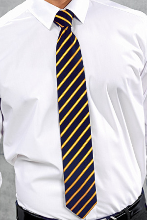 Sports Stripe Tie