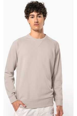 Herren Sweatshirt BIO-BAUMWOLLE Rundhalsausschnitt Raglanärmel
