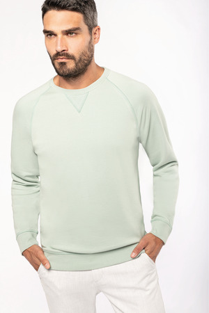 Herren Sweatshirt BIO-BAUMWOLLE Rundhalsausschnitt Raglanärmel