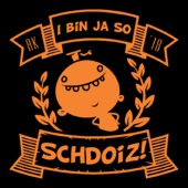 DI34 - I bin ja so schdoiz!