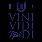 DI36 - Vini Vidi Pfiat di