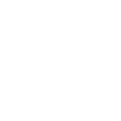 F72 - Shirt for intelligent pupils