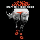 F88 - Knapp aber passt schon