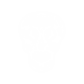 G102 - Skull