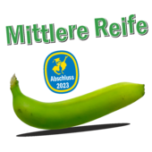 M53 - Mittlere Reife Abschluss 2020